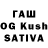 Псилоцибиновые грибы GOLDEN TEACHER Gamer DIKO