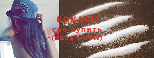 ешки Горняк