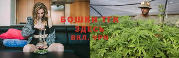 PSILOCYBIN Горно-Алтайск