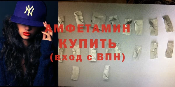 ешки Горняк
