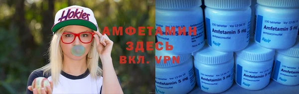 PSILOCYBIN Горно-Алтайск