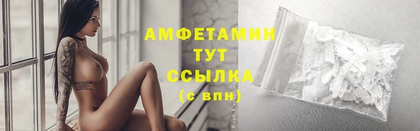 PSILOCYBIN Горно-Алтайск