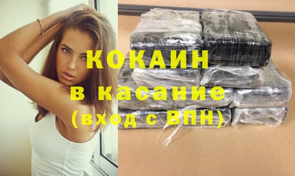 PSILOCYBIN Горно-Алтайск