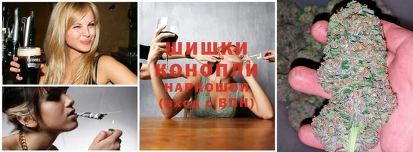 ешки Горняк