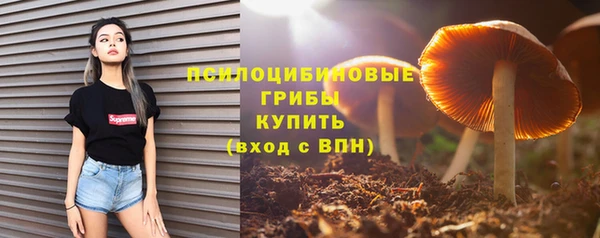 ешки Горняк